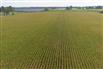 53 Acres/Oxford County for Sale, Tillsonburg, Ontario