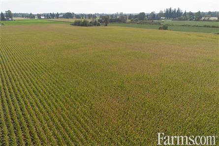 53 Acres/Oxford County for Sale, Tillsonburg, Ontario