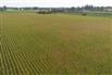 53 Acres/Oxford County for Sale, Tillsonburg, Ontario