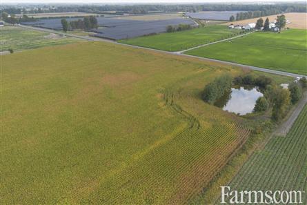 53 Acres/Oxford County for Sale, Tillsonburg, Ontario