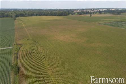 53 Acres/Oxford County for Sale, Tillsonburg, Ontario