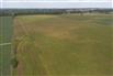 53 Acres/Oxford County for Sale, Tillsonburg, Ontario