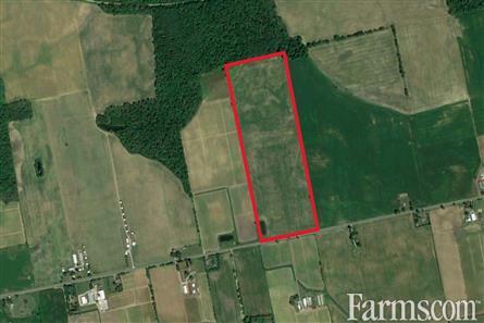 53 Acres/Oxford County for Sale, Tillsonburg, Ontario