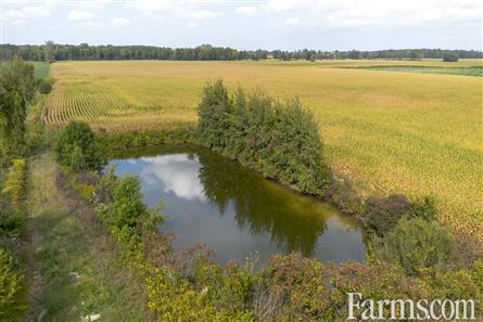 53 Acres/Oxford County for Sale, Tillsonburg, Ontario