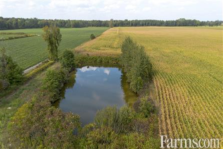 53 Acres/Oxford County for Sale, Tillsonburg, Ontario