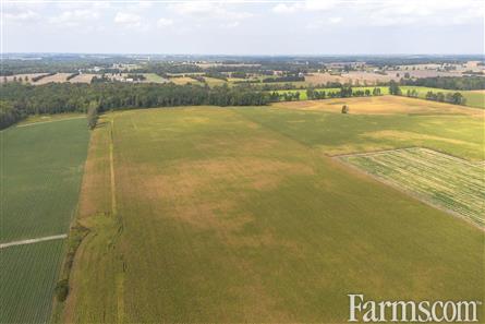 53 Acres/Oxford County for Sale, Tillsonburg, Ontario