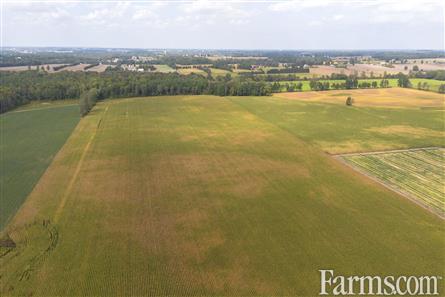 53 Acres/Oxford County for Sale, Tillsonburg, Ontario