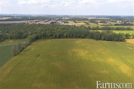 53 Acres/Oxford County for Sale, Tillsonburg, Ontario