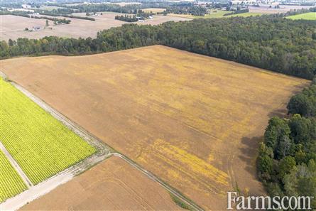 150 Acres/Oxford County for Sale, Tillsonburg, Ontario