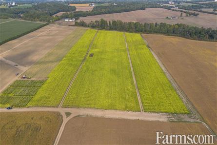 150 Acres/Oxford County for Sale, Tillsonburg, Ontario