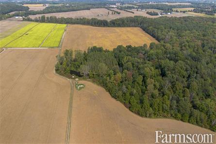 150 Acres/Oxford County for Sale, Tillsonburg, Ontario