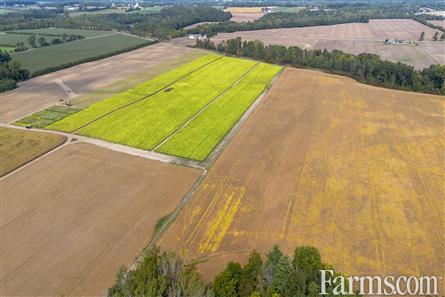 150 Acres/Oxford County for Sale, Tillsonburg, Ontario