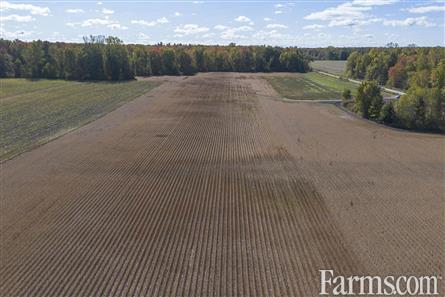 100 Acres/Elgin County for Sale, Malahide, Ontario