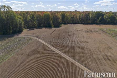 100 Acres/Elgin County for Sale, Malahide, Ontario