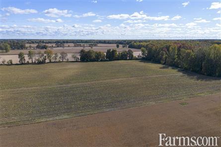 100 Acres/Elgin County for Sale, Malahide, Ontario