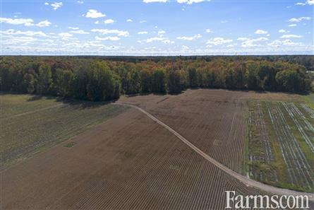 100 Acres/Elgin County for Sale, Malahide, Ontario