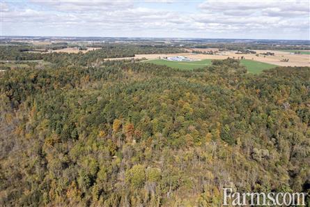 48 Acres/Elgin County for Sale, Aylmer, Ontario