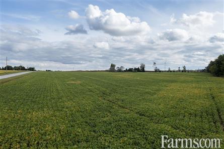 15 Acres/Middlesex County for Sale, Strathroy, Ontario