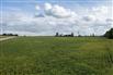 15 Acres/Middlesex County for Sale, Strathroy, Ontario