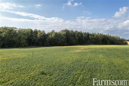 15 Acres/Middlesex County for Sale, Strathroy, Ontario