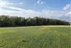 15 Acres/Middlesex County for Sale, Strathroy, Ontario