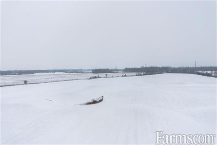 63 Acres/Middlesex County for Sale, Alvinston, Ontario