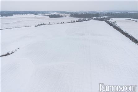 63 Acres/Middlesex County for Sale, Alvinston, Ontario