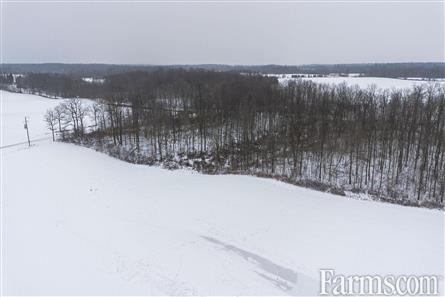 63 Acres/Middlesex County for Sale, Alvinston, Ontario