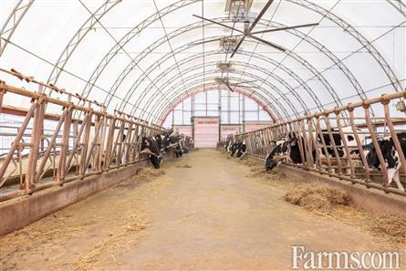 109KG Saleable Quota OnGoing Dairy for Sale, St. Isidore, Ontario