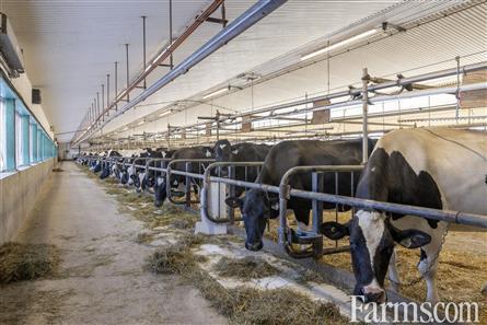 109KG Saleable Quota OnGoing Dairy for Sale, St. Isidore, Ontario