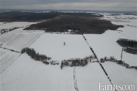 147.96 Acres/Renfrew County for Sale, Beachburg, Ontario