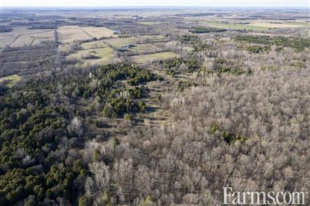 100 Acres/N. Glengarry for Sale, Dunvegan, Ontario