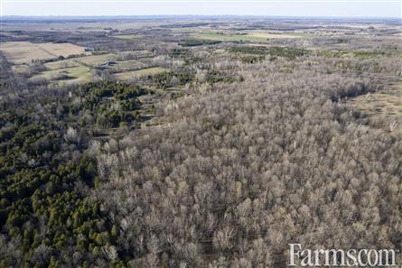 100 Acres/N. Glengarry for Sale, Dunvegan, Ontario