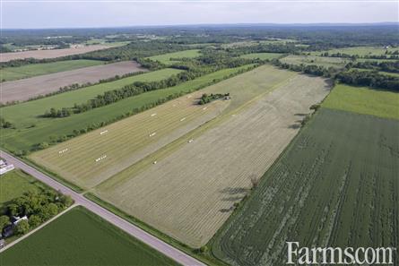 100 Acres/Renfrew County for Sale, Cobden, Ontario