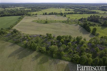 100 Acres/Renfrew County for Sale, Cobden, Ontario