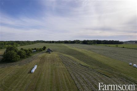 100 Acres/Renfrew County for Sale, Cobden, Ontario