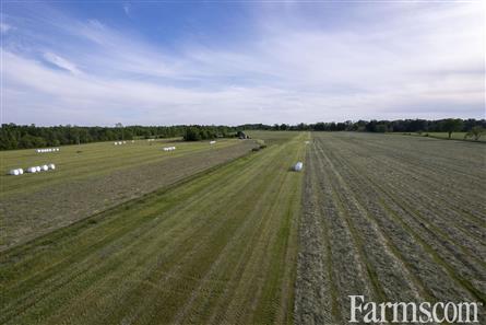 100 Acres/Renfrew County for Sale, Cobden, Ontario