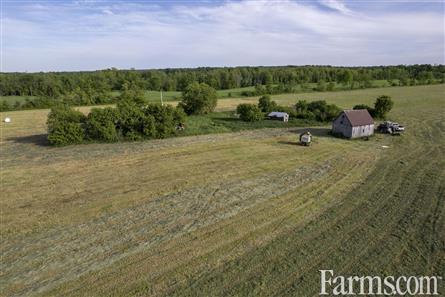 100 Acres/Renfrew County for Sale, Cobden, Ontario