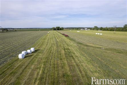 100 Acres/Renfrew County for Sale, Cobden, Ontario