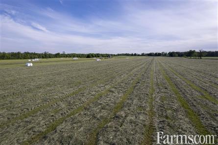 100 Acres/Renfrew County for Sale, Cobden, Ontario