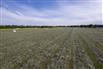 100 Acres/Renfrew County for Sale, Cobden, Ontario