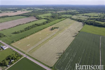 100 Acres/Renfrew County for Sale, Cobden, Ontario