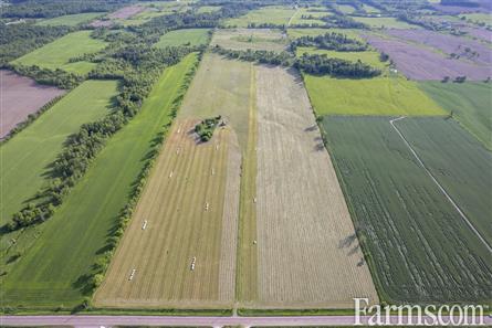 100 Acres/Renfrew County for Sale, Cobden, Ontario