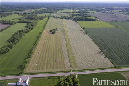 100 Acres/Renfrew County for Sale, Cobden, Ontario