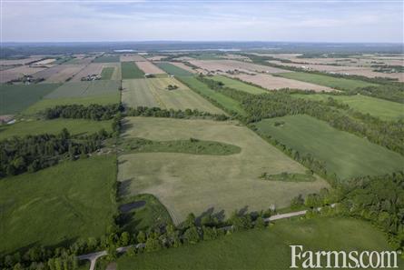 100 Acres/Renfrew County for Sale, Cobden, Ontario