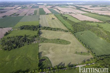 100 Acres/Renfrew County for Sale, Cobden, Ontario