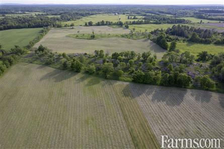 100 Acres/Renfrew County for Sale, Cobden, Ontario