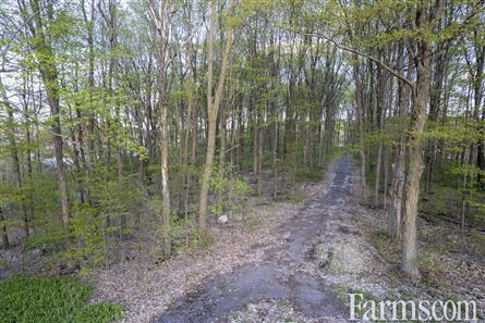 165 Acres/Prescott for Sale, Vankleek Hill, Ontario