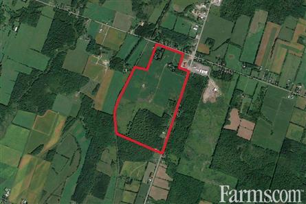 165 Acres/Prescott for Sale, Vankleek Hill, Ontario