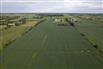 193 Acres/Glengarry for Sale, Alexandria, Ontario